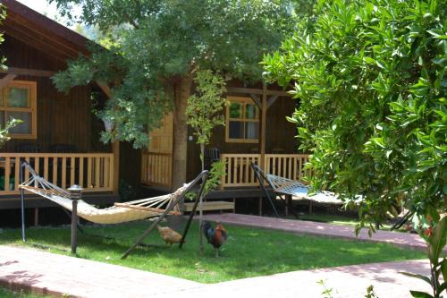 Caretta Caretta Pension in Cıralı