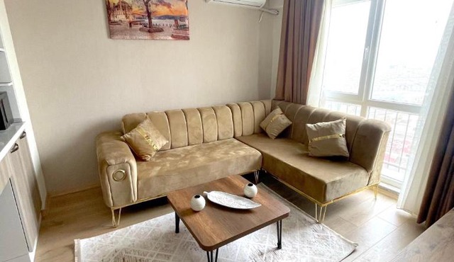 Classic Suite MS33