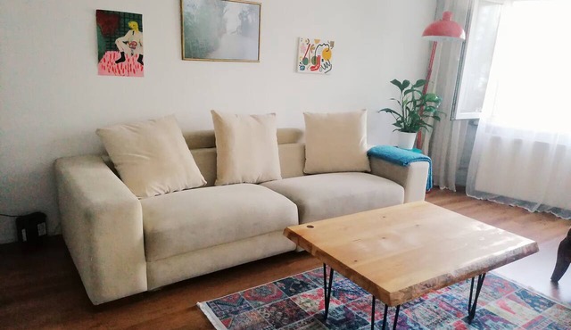 Clean And Cozy/Entire Flat In The City Center