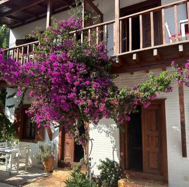 Courtyard Kalkan in Kas
