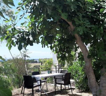 Datça Muhteşem Ev 2 in Datça
