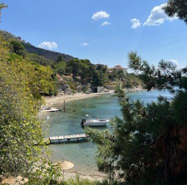 Denizevi Karvunyi