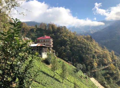 Gunguli Pansiyon in Ayder