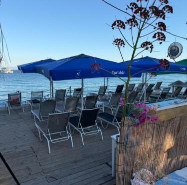 KIYI SUITES OTEL Palamutbükü