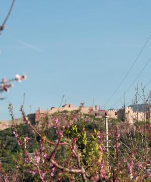 Mandalin Glamping in Selçuk