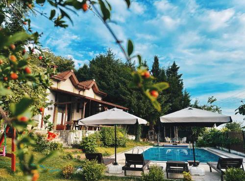 Manzara Ödüllü Büyük Havuzlu Premium Villa in Sapanca