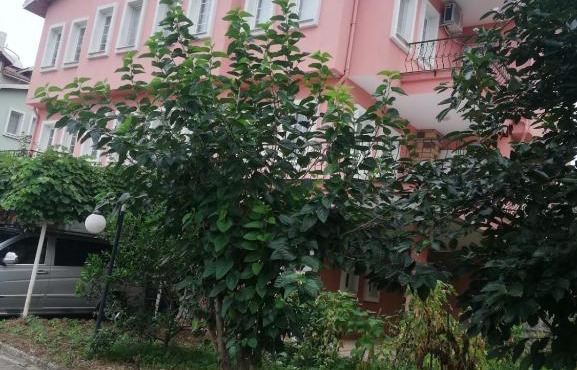 My Villa Sera Red in Yıldızlı