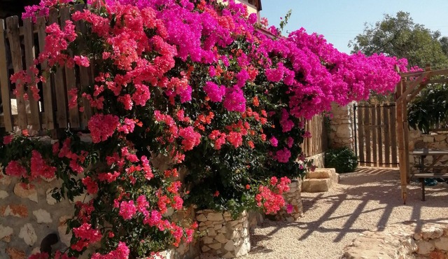 Old village restored stone house with gardens and parking.