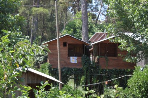 Olympos Camlık Pension in Olympos
