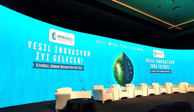 Pullman Istanbul Airport and Convention Center Hotel in Istanbul