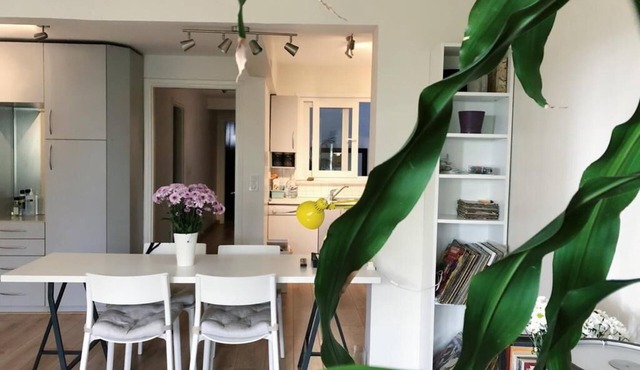 Quiet and Charming 2-bedroom apartment with WiFi, AC in the heart of Istanbul in İstanbul