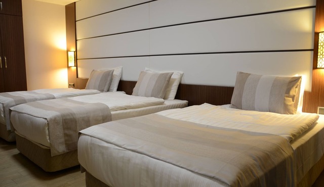 Safa Royal Museum Hotel