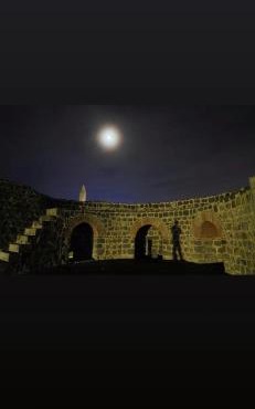 Star Palace in Diyarbakır