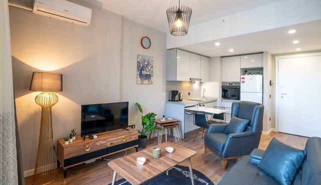 Stylish 1-Bedroom Apt- Experience City's Pulse in Istanbul