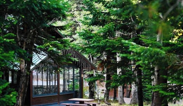 Uludag Orman Koskleri in Bursa