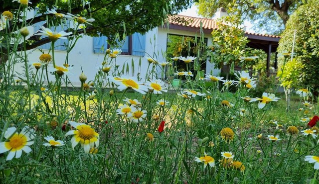 Villa nar in Datça
