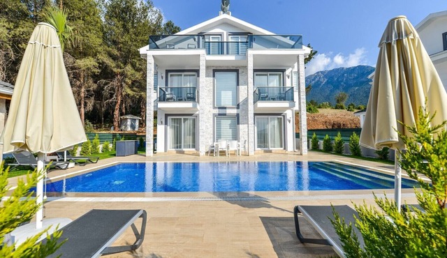 Villa Ucar C Peacefull 4 bed villa with pool for rent in Ovacık oludeniz