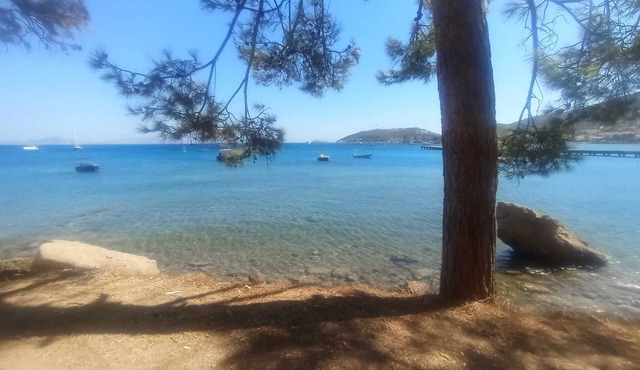 W Antic Pansiyon