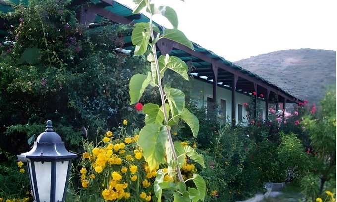 Hayitbuku Hotel | 45 m² Hotel ∙ 2 bedrooms ∙ 5 guests
