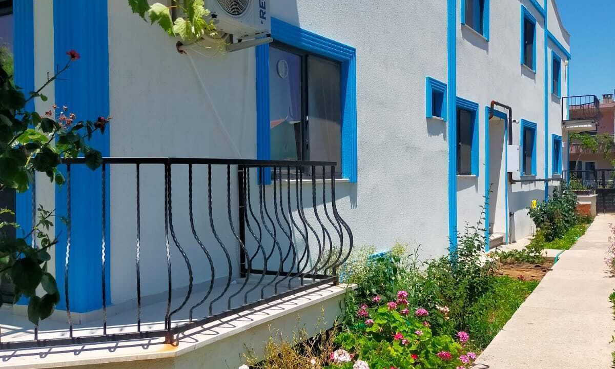 Geyikli Bed & Breakfast | Zeytin Cicegi Pansiyon