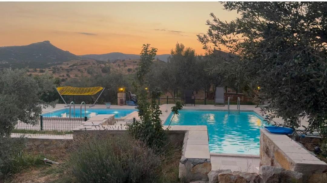 Foca Villa | Mayafa Zeytinli Bağ