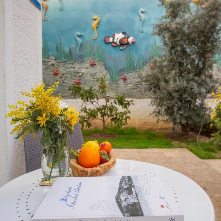 Adalar House | poseidon kınalıada
