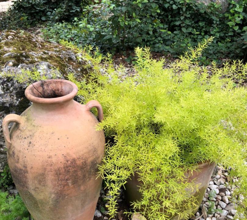 Kayakoy House | Fig Garden Cottages