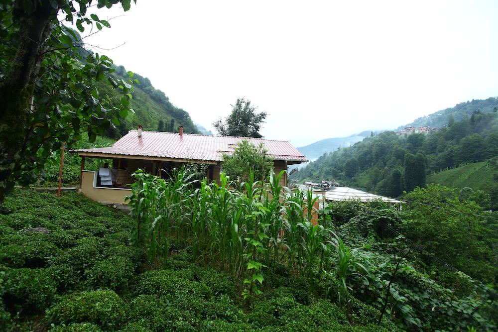 Photo of Others in Cayirduzu