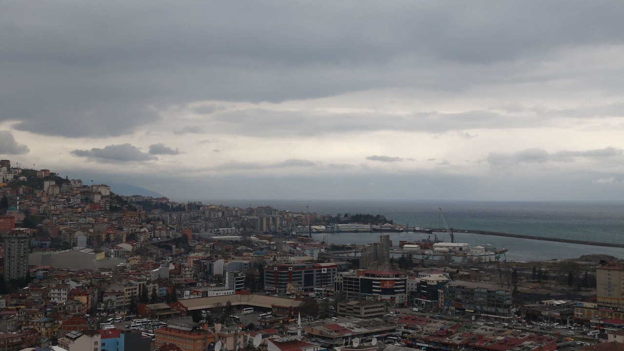 Photo of Others in Trabzon