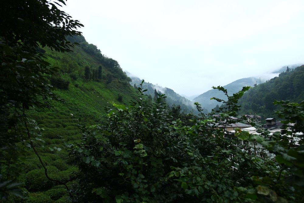 Photo of Outdoor in Cayirduzu