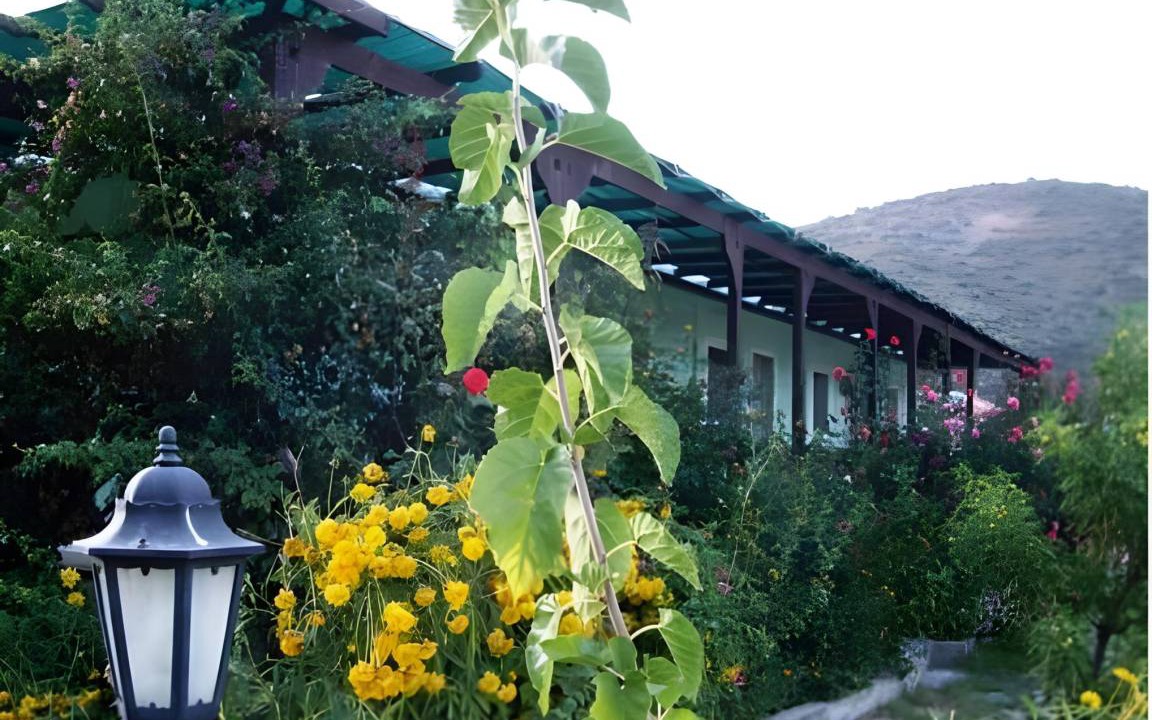 Photo of Others in Hayitbuku