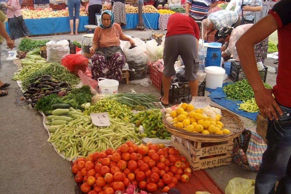 Photo of Others in Bogazici