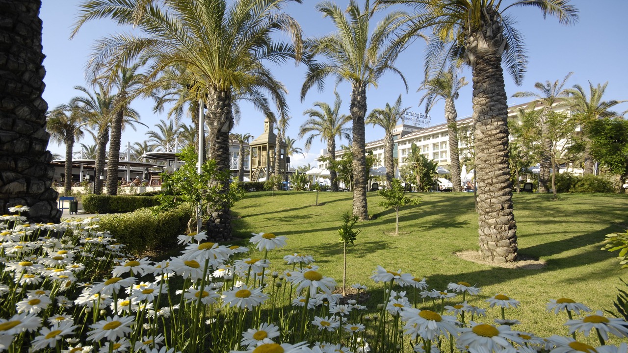 Photo of Outdoor in Side