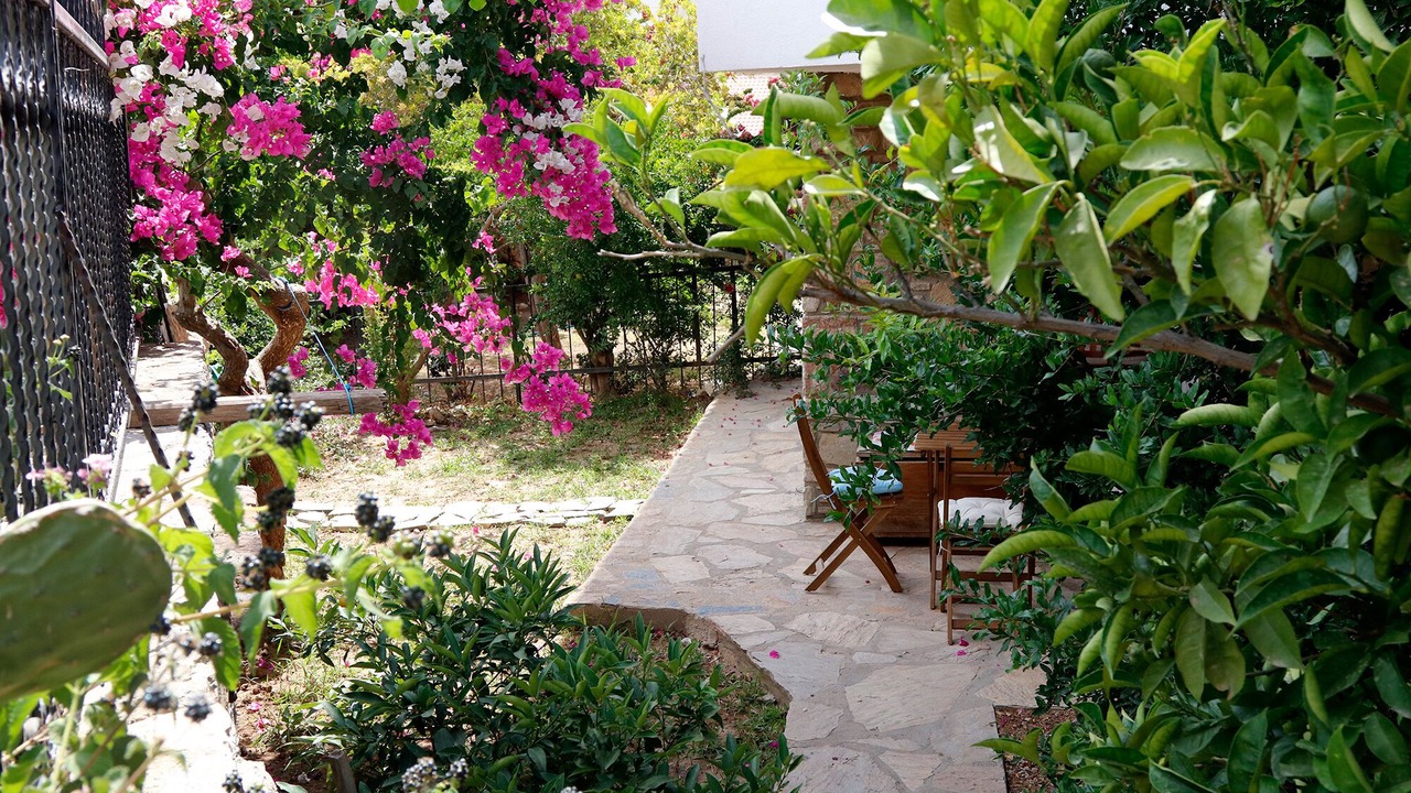 Photo of Outdoor in Datca City Center