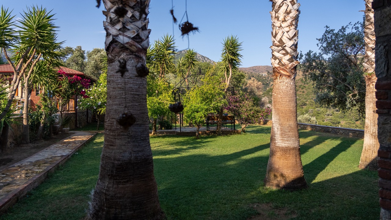 Photo of Outdoor in Mesudiye