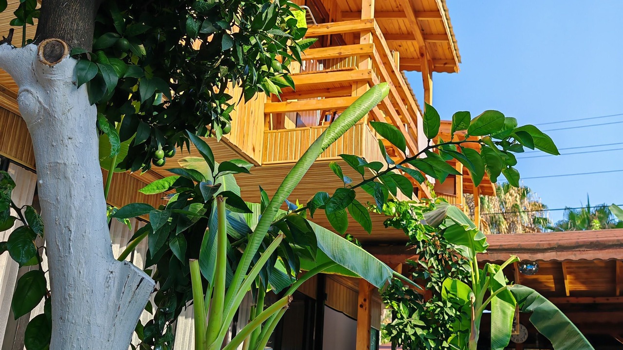 Photo of Outdoor in Beldibi