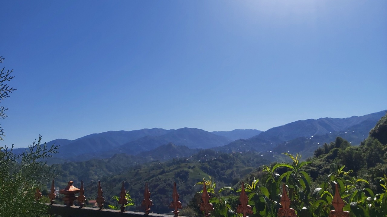 Photo of Outdoor in Cayeli