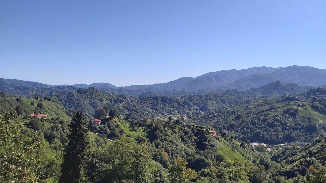 Photo of Outdoor in Cayeli