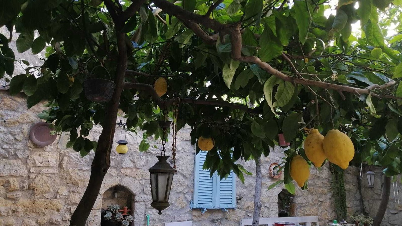 Photo of Others in Tokoglu