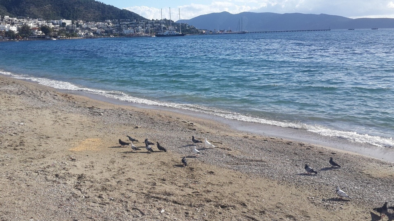 Photo of Others in Bodrum City Center