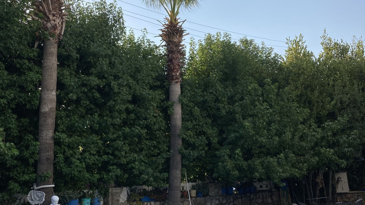 Photo of Outdoor in Marmaris City Center