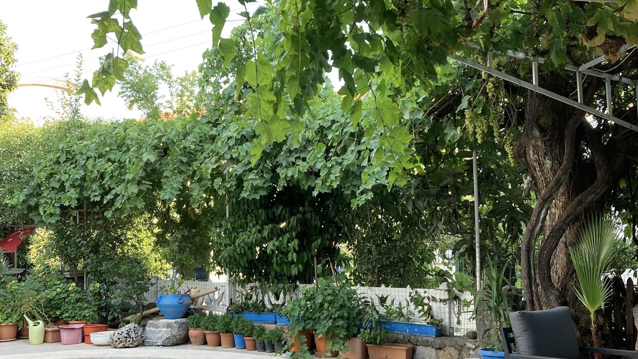 Photo of Outdoor in Marmaris City Center