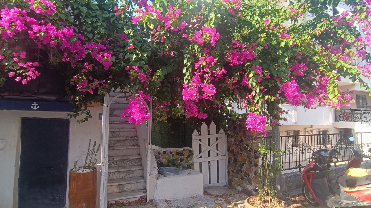 Photo of Outdoor in Marmaris