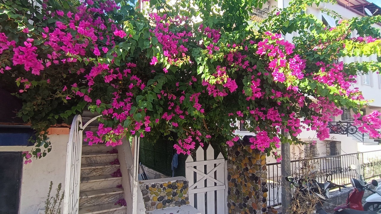 Photo of Outdoor in Marmaris