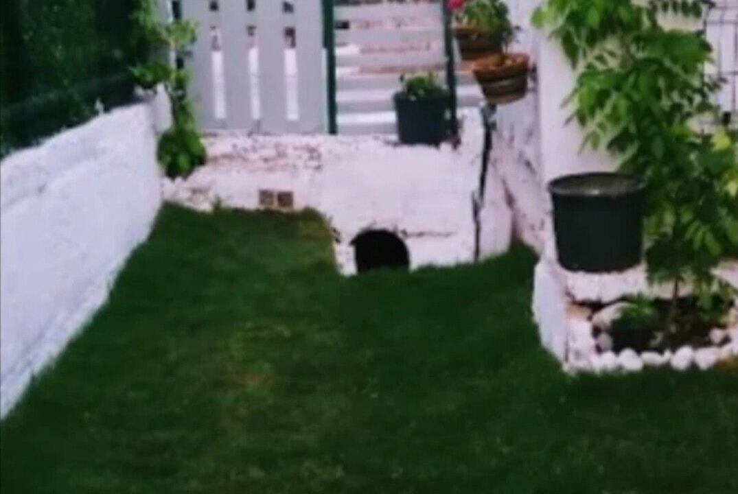 Photo of Outdoor in Marmaris