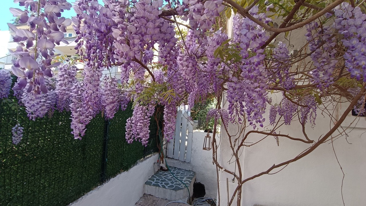 Photo of Outdoor in Marmaris