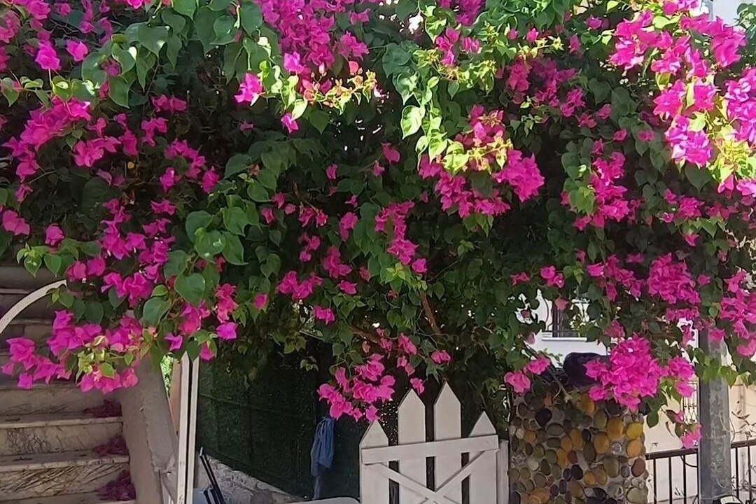 Photo of Outdoor in Marmaris