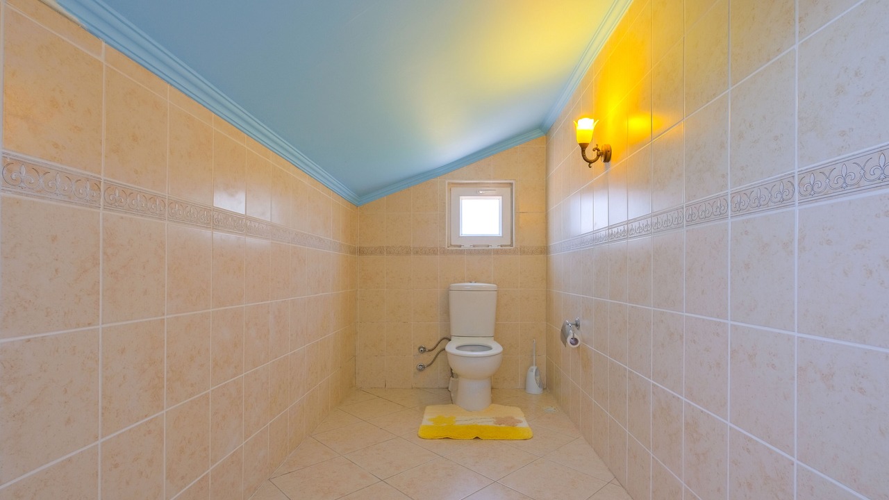Photo of Bathroom in Mentese