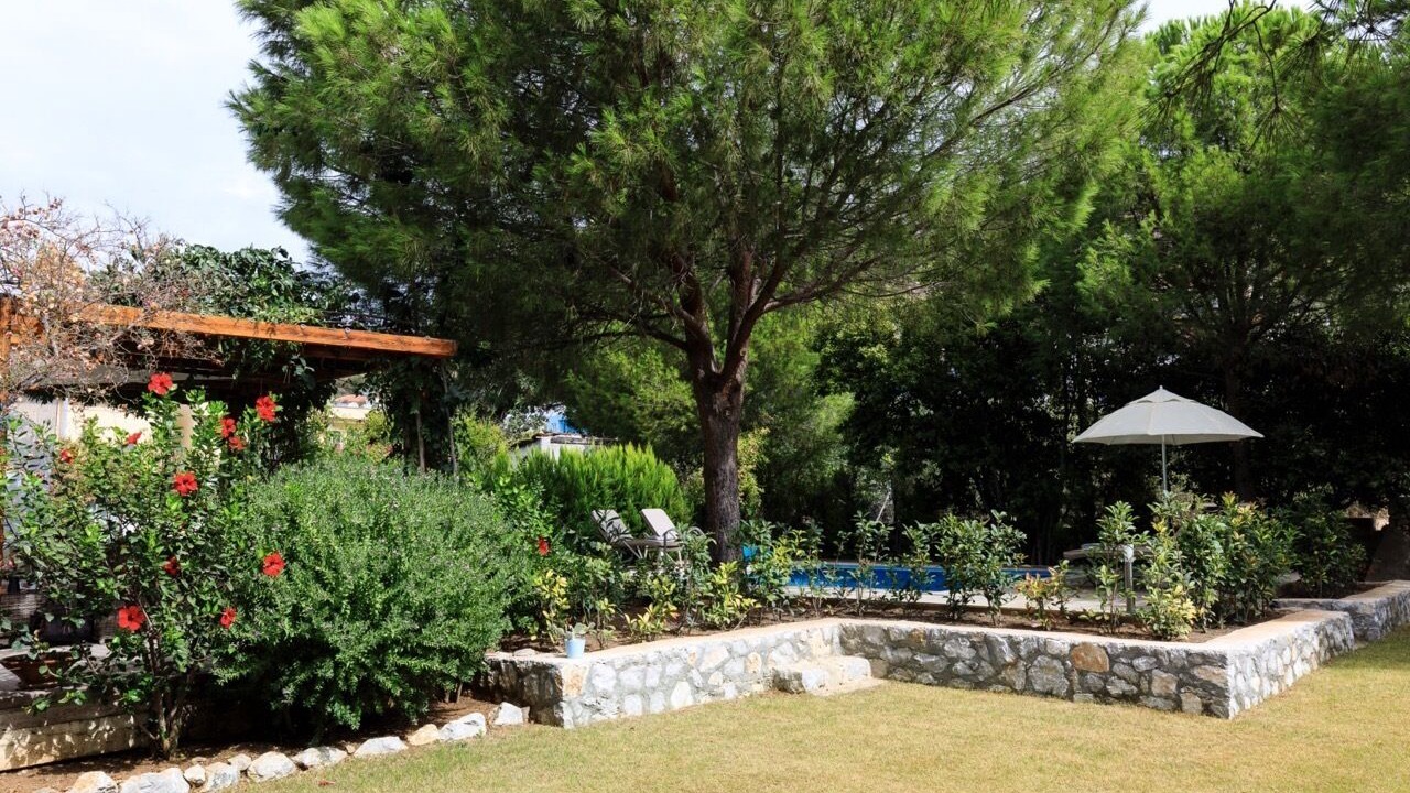 Photo of Outdoor in Sogut