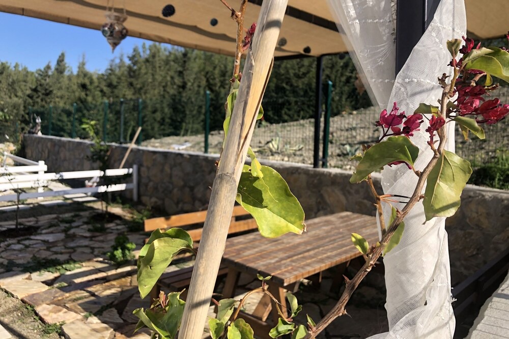 Photo of Outdoor in Datca City Center